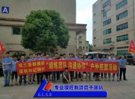 專業(yè)模胚制造骨干團(tuán)隊(duì)